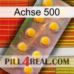 Axcil 500 new11